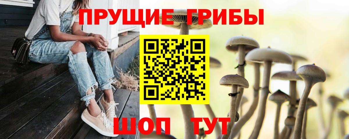 Псилоцибиновые грибы Psilocybine cubensis  Псилоцибиновые грибы мицелий  Губаха  Вход с VPN 